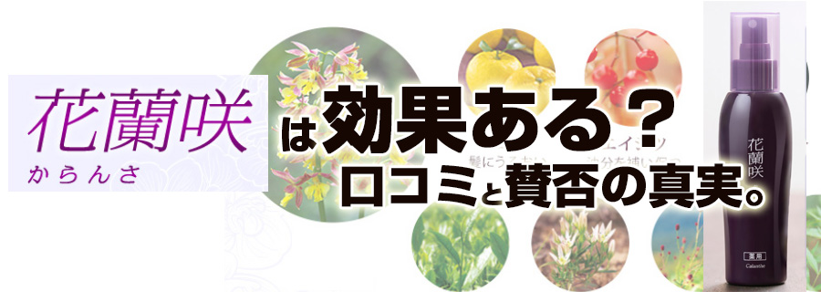 �ԗ���͌��ʂ���H���R�~�Ɓy�^�ۂ̐^���z